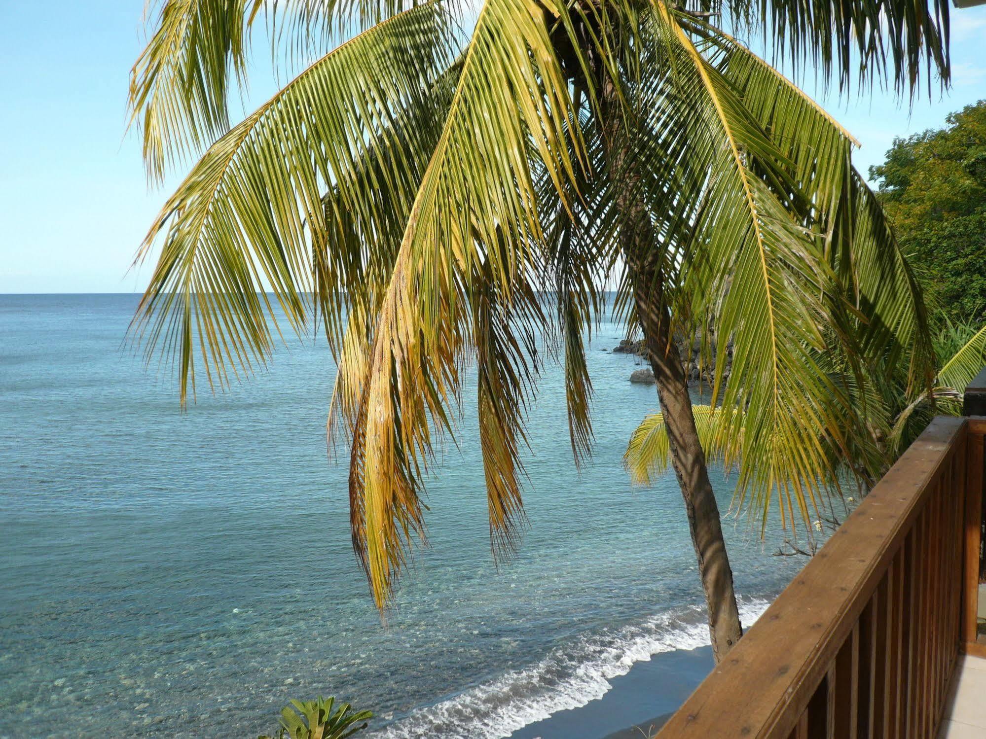Vienna Beach Resort Amed  Ngoại thất bức ảnh